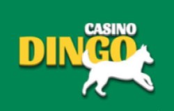 Dingo Singapore casino